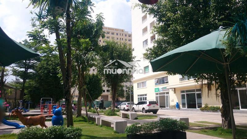 Chính chủ cần bán căn góc cc tecco quận 12