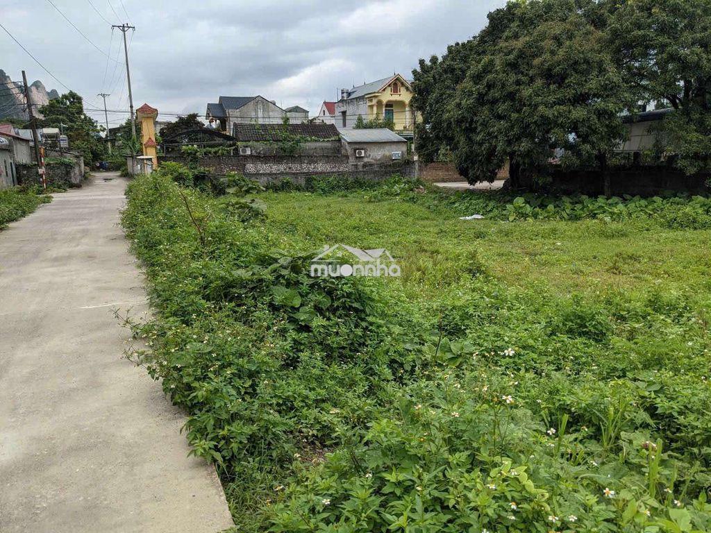 Đất vàng mặt đường làm biệt thự đẹp - 3