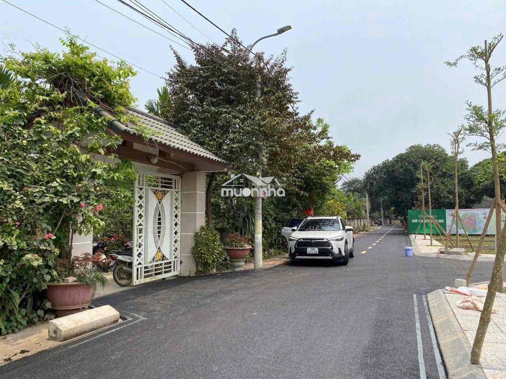 Vợ chồng li hôn em để lại lô đất cạnh trường đại học - 3