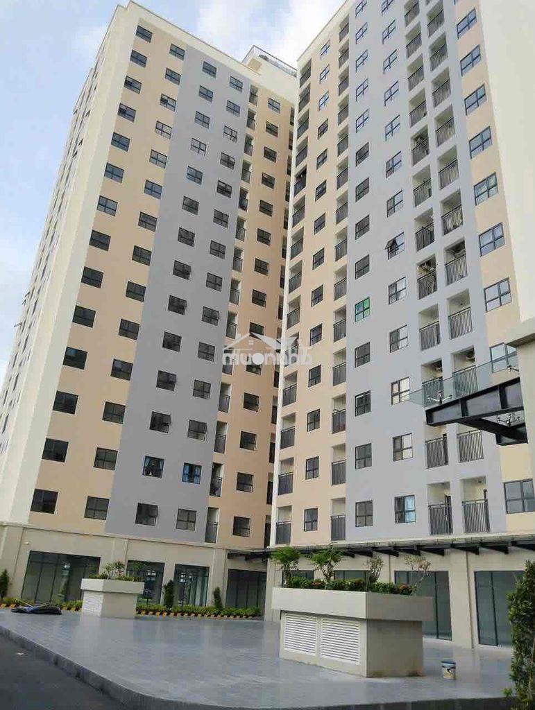 Cần bán căn 61m2 hội nghĩa 1ty250 - 3