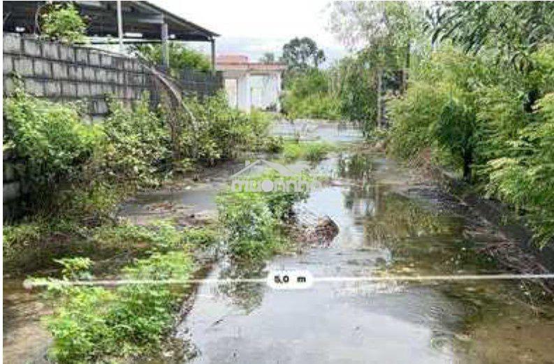 🌴 Đất rộng 5.000 m² tại ấp bến tràm – cửa dương - 2