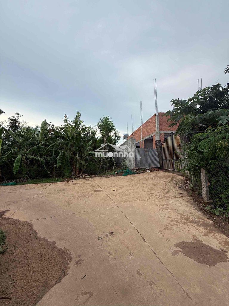 Kẹt tiền bán gấp 236m2 ngang 7m dài 34m, đồng nai, view núi chứa chan - 2