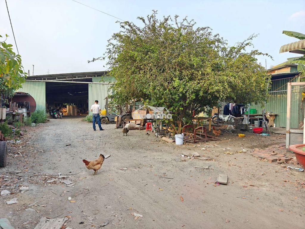 Cho thuê 2000m2 kho nhà xưởng xã bình minh đồng nai gần võ nguyên giáp - 4