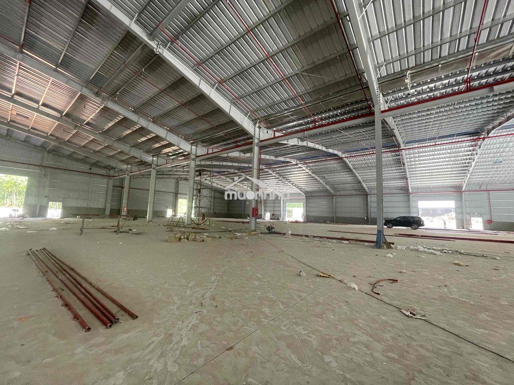 Cho thuê xưởng sản xuất tại phú giáo bình dương - 3