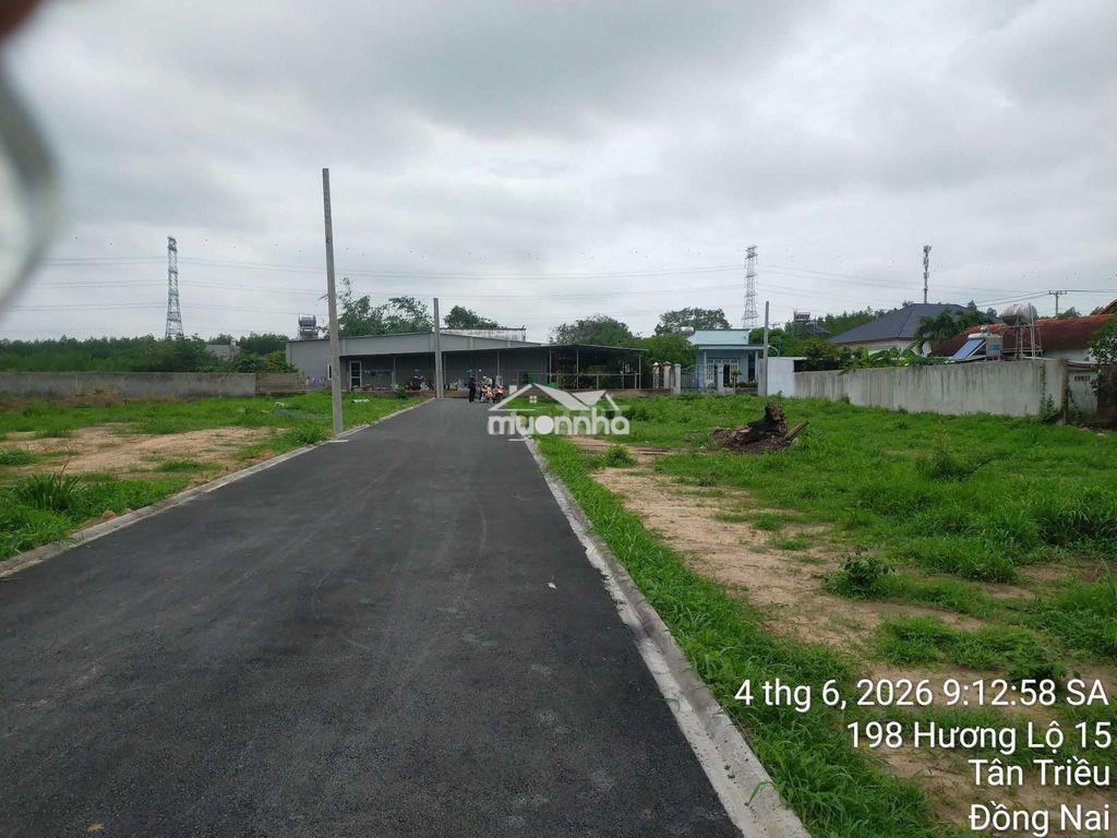 Bán đất nền thổ cư thạnh phú tân triều, tp.đồng nai - 2