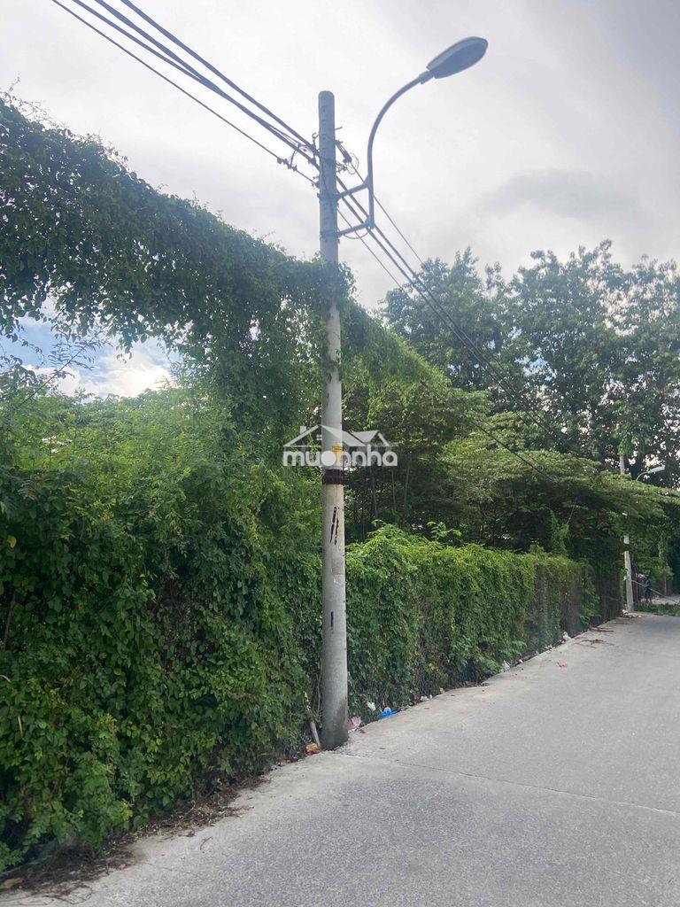 Cho thuê 5.000m2 đất mt - 75tr/tháng, đường nguyễn ngọc cung, quận 8 - 3