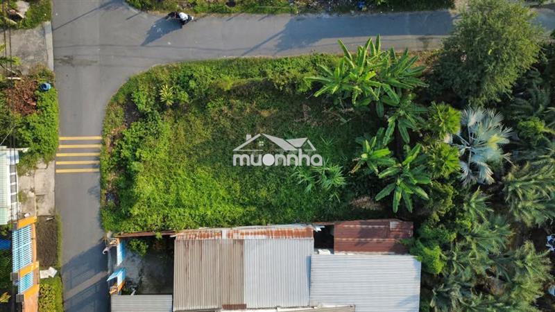 Góc 2 mặt tiền nhựa cách ql22 chỉ 10m dt 295m2 ngang khủng 12m