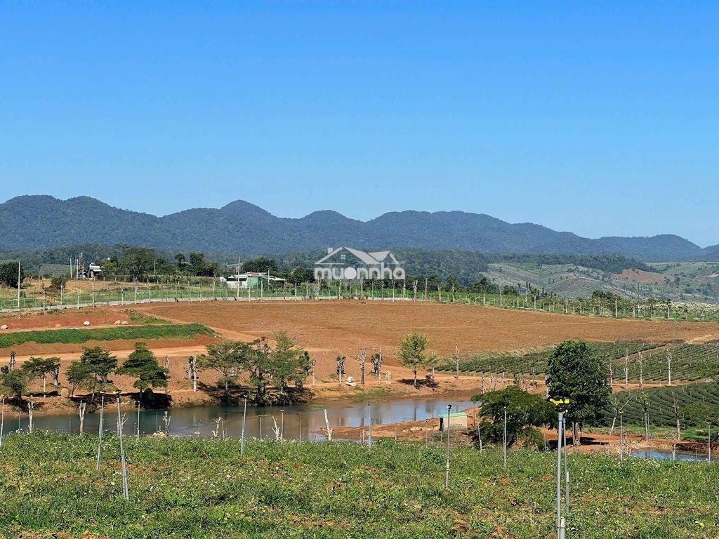 Bán đất bảo lộc - 4