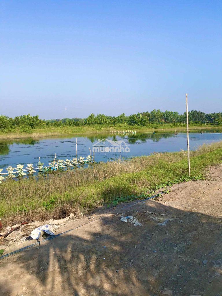 Bán đất 3000m2 ngang 60m đường xe 7 chỗ tại xã phước vĩnh đông
