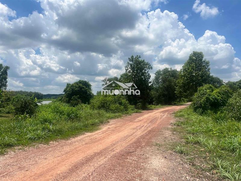 2.500m2 đất mt sông sg chỉ 1,7tr/m