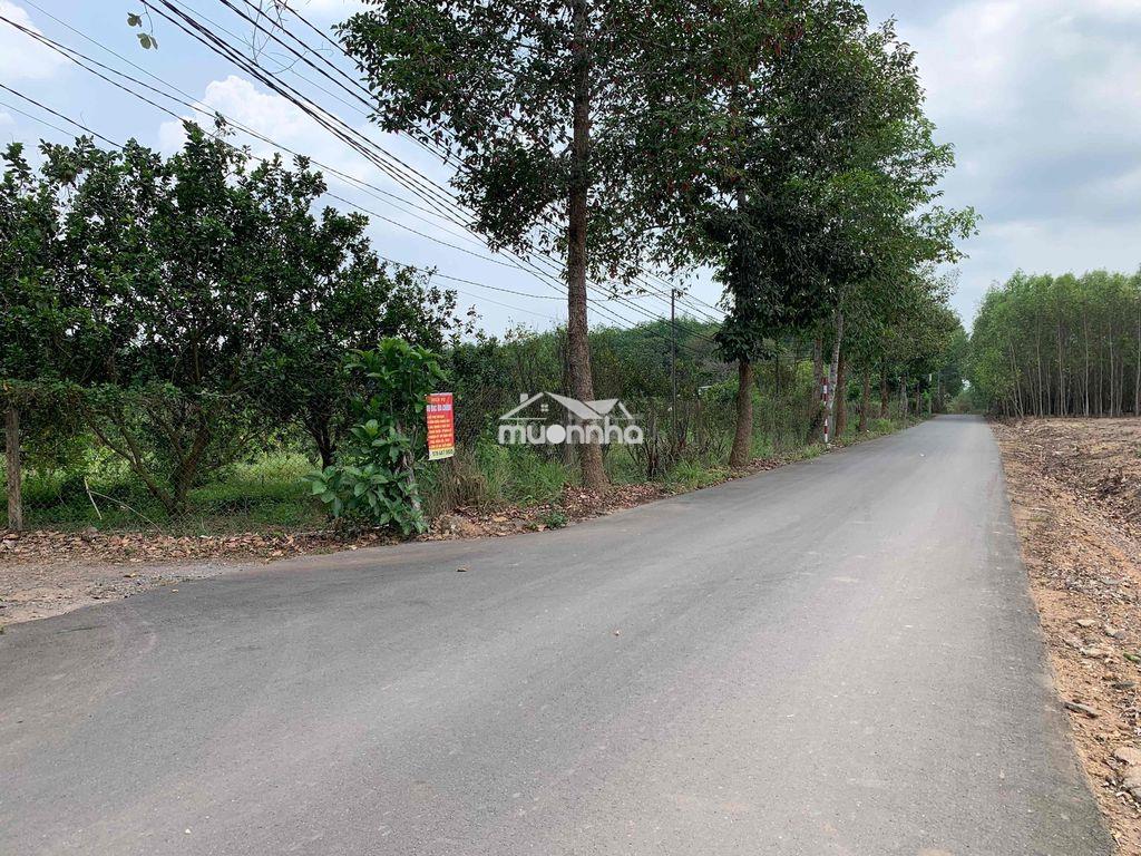 Cơ hội đầu tư: đất vườn chính chủ xã trị an, vĩnh cửu, đường xó - 2