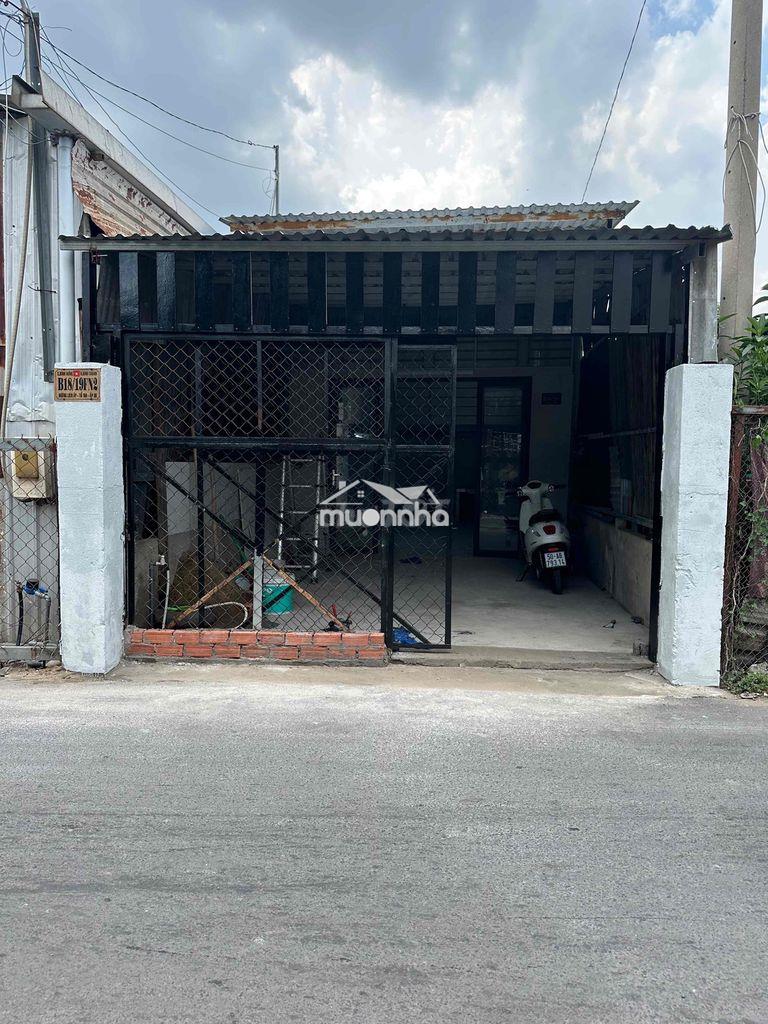 Cho thue hoac co - 3