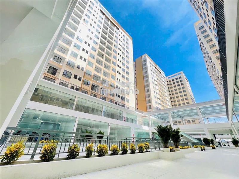 Cho thuê shophouse thương mại dịch vụ tại trung tâm tp tây ninh