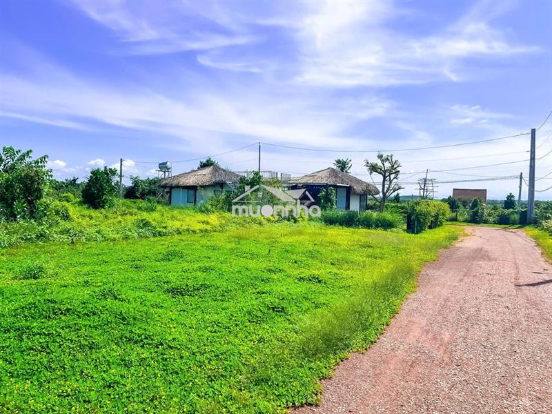 (Săn đất) tìm đâu ra vườn xoài ven sông la ngà giá chỉ hơn 500k/m²? 🥭🌿