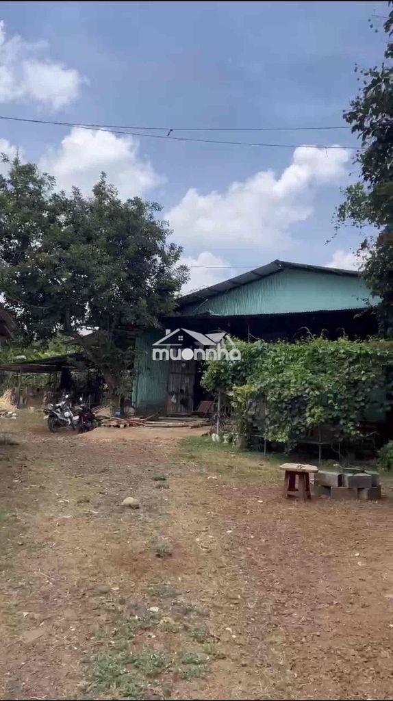 8.010m² đất ô tô né nhau, 98% đất ở đô thị odt trung tâm long khánh - 3