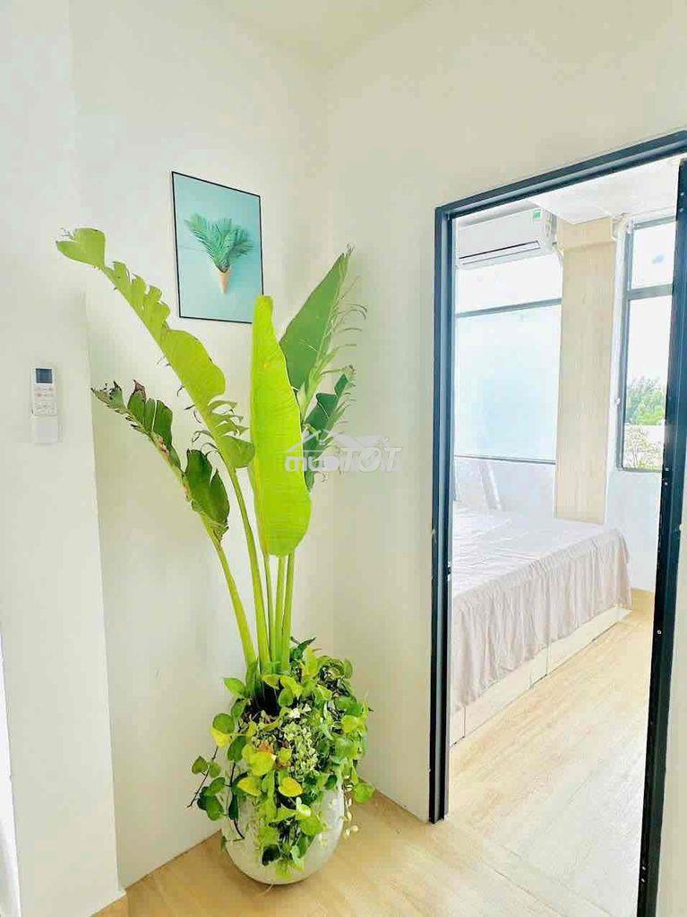 2 phòng ngủ, 1 phòng khách full nội thất ( mới xây sạch sẽ thoáng mát) - 3