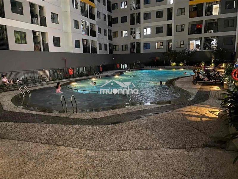 Cho thuê căn 1 phòng ngủ legacy - 4 triệu ( 2 căn ) ở liền