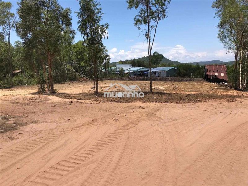 Cho thuê đất gần ngã tư quốc têz 2000m2