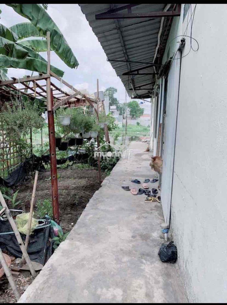 Cho thuê phòng trọ ngay chợ thới hoà, kcn vĩnh lộc