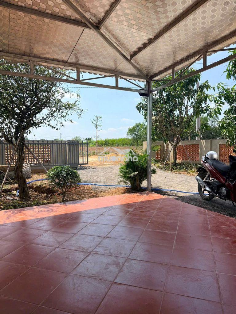 💥 200 triệu sở hữu 455m² trung tâm thị trấn vĩnh an - phường trị an 💥 - 3