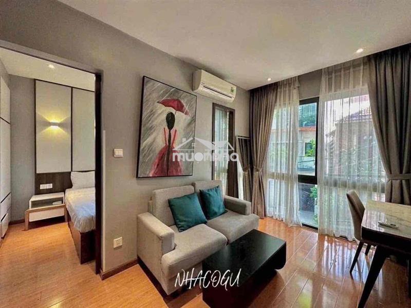 Căn hộ 1 phòng ngủ nội thất cao cấp nguyễn tri phương quận 10