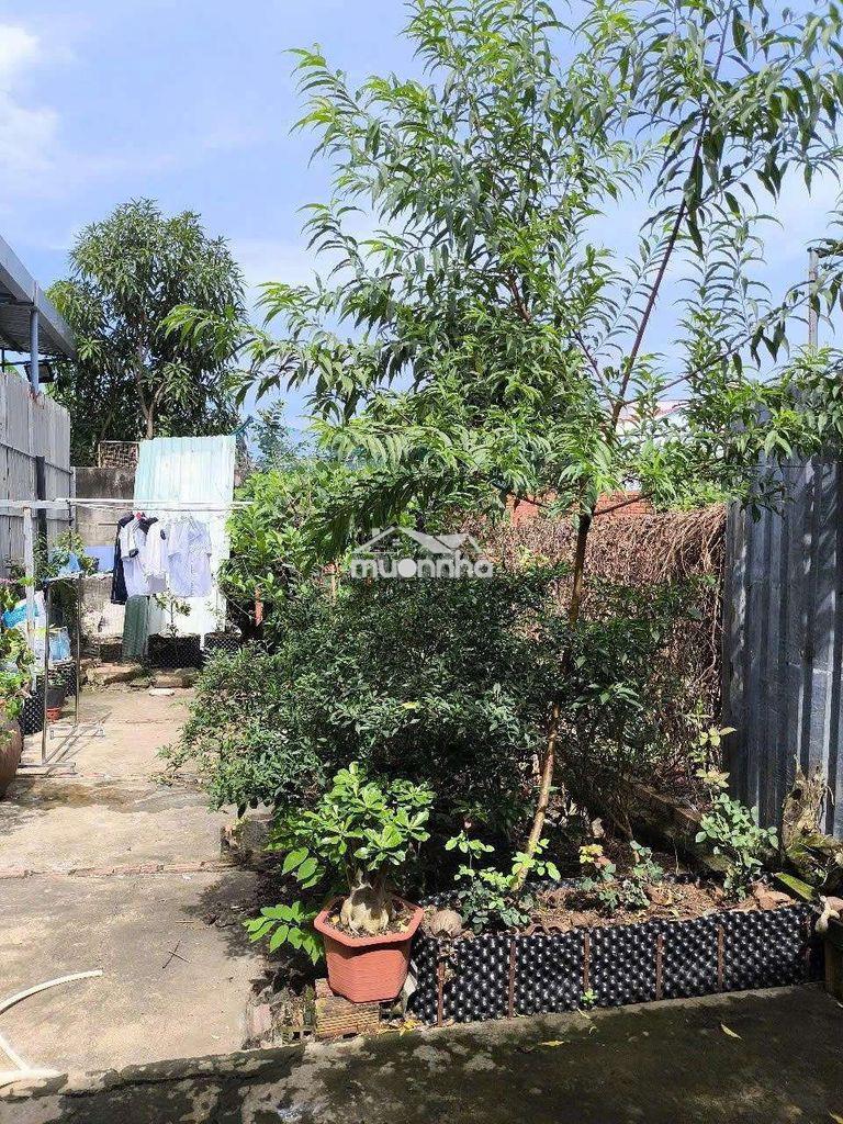 Nhà cấp 4 hơi cũ mặt tiền hẻm chùa long phú gần qua cầu gạch dơi 300m - 2