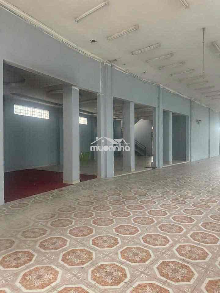 Cho thuê mặt bằng đường cmt8, thủ dầu một  - diện tích đất : 1000m2, - 3