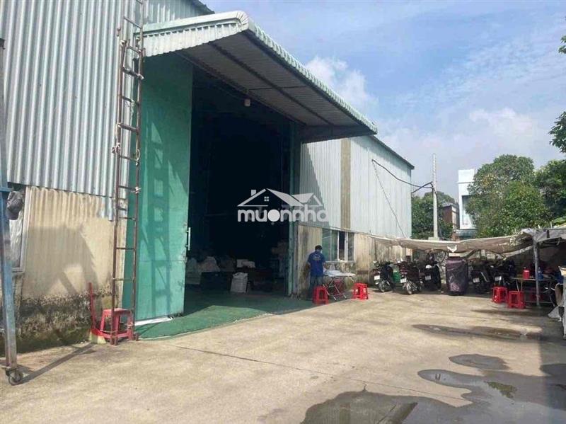 Xưởng thuận an 800m điện sản xuất