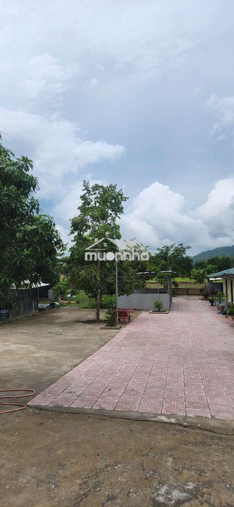 Mặt bằng đăng kinh doanh - 2