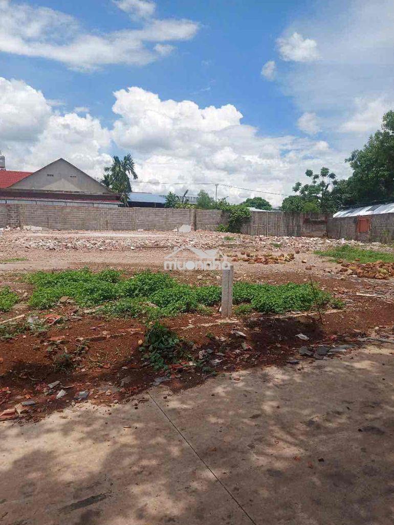 🏡 Đất full thổ cư – sổ riêng – giá tốt tại long khánh.