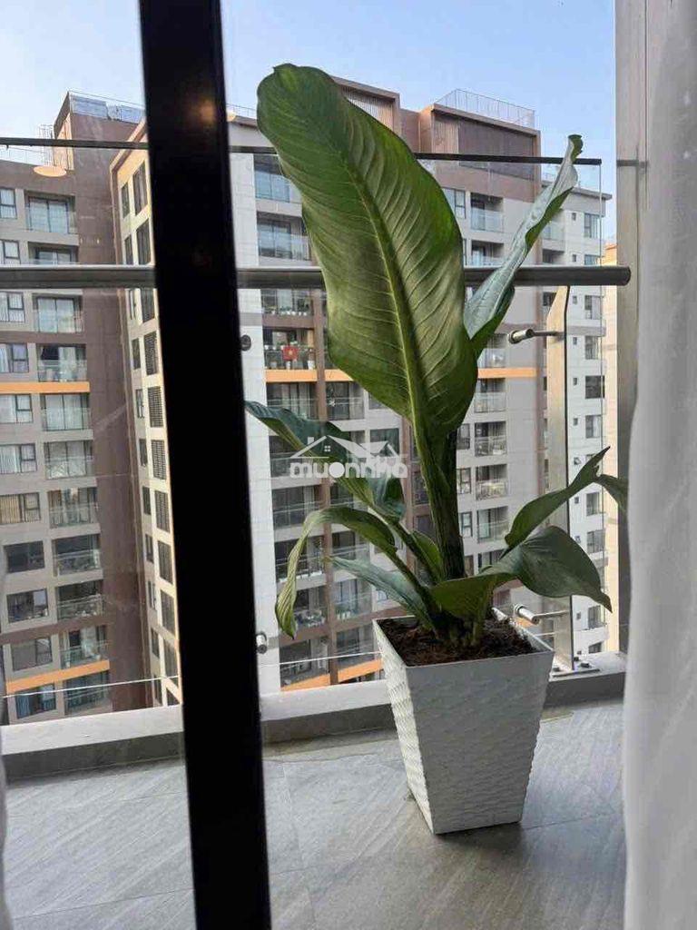 🎉 Sổ sẵn full nt ch 80m chỉ 4.7tỷ view hồ bơi tại akari bình tân tphcm