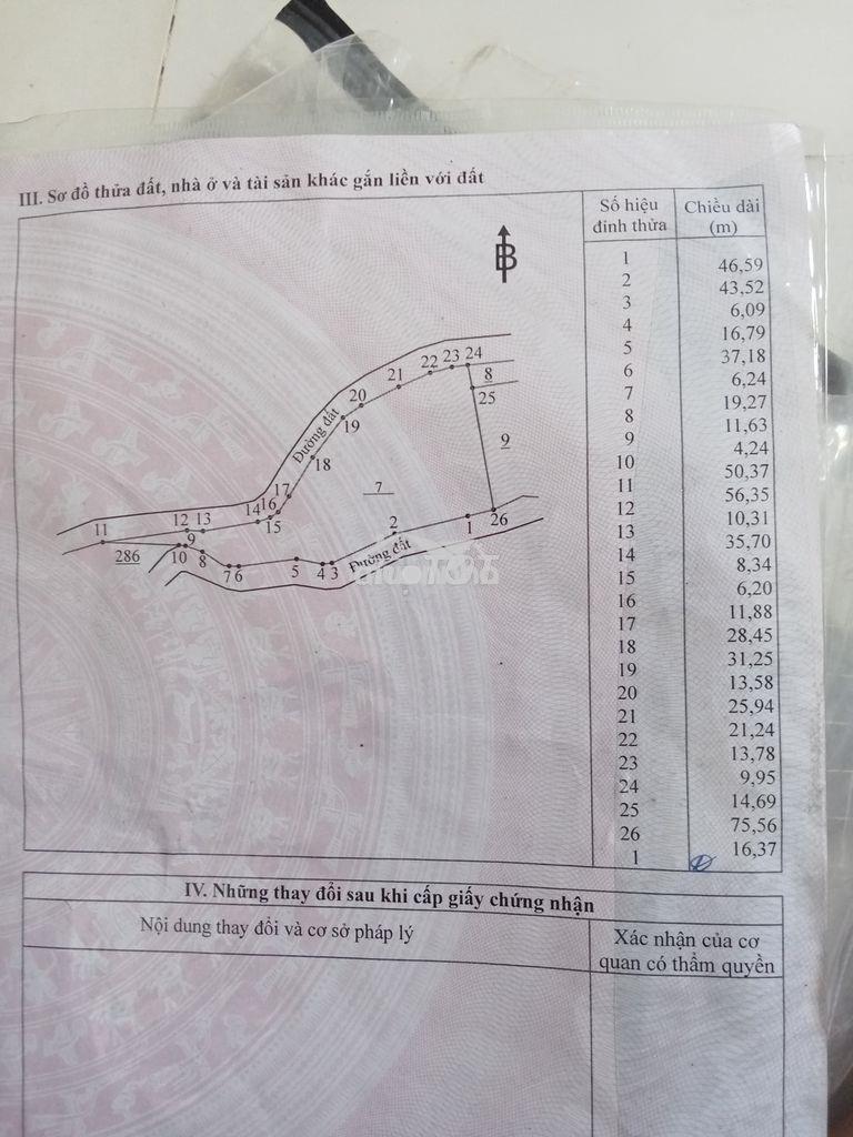 Đất trồng cây lâu năm - 2