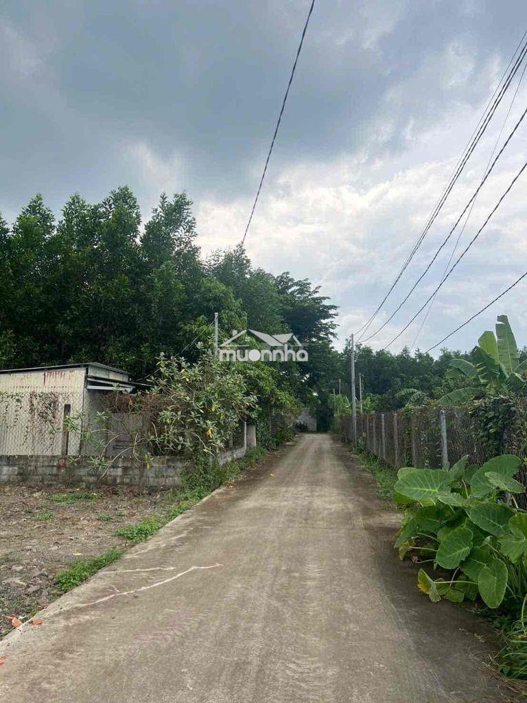 Cần bán 1000m2 ngộp ngân hàng - 3