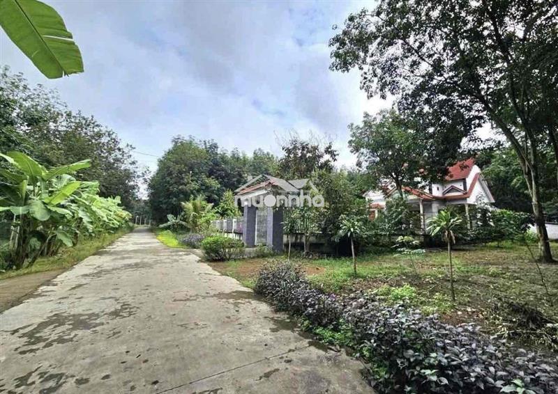 Đất vườn giá rẻ tp.hcm