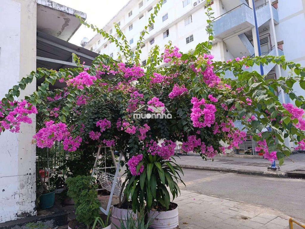 Nhà thành phố hồ chí minh 100% tiền: 200 triệu. có mới đăng - 4