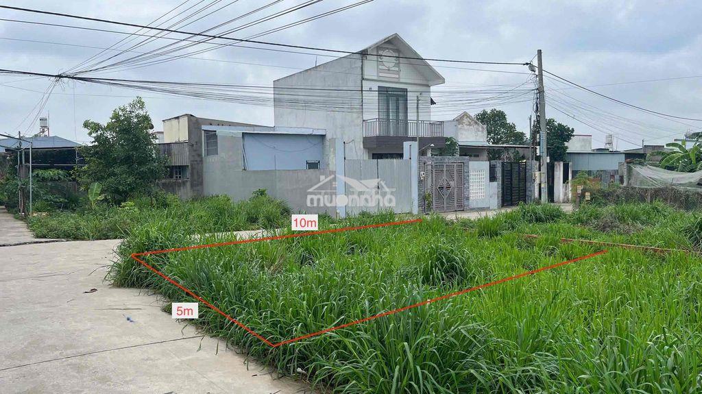 Chính chủ bán đất quy hoạch thổ cư trảng dài, đồng nai - 2