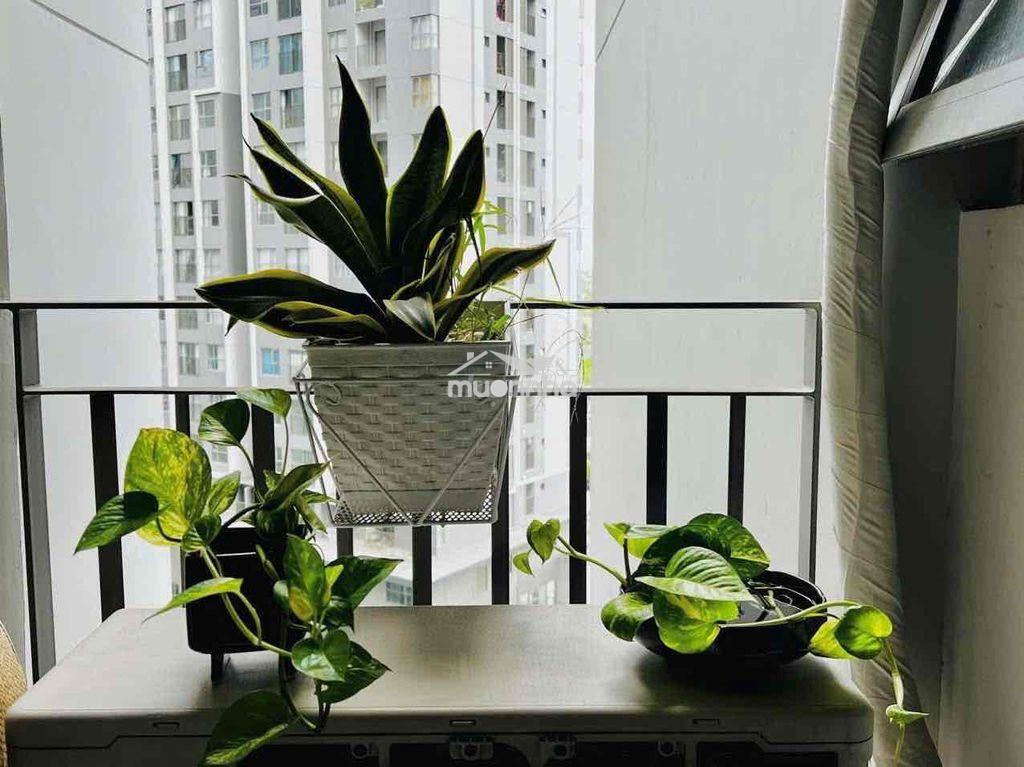 Cho thuê 60m2 (2pn2wc) 7.5tr máy lạnh, giường tủ, tủ lạnh, máy giặt - 4
