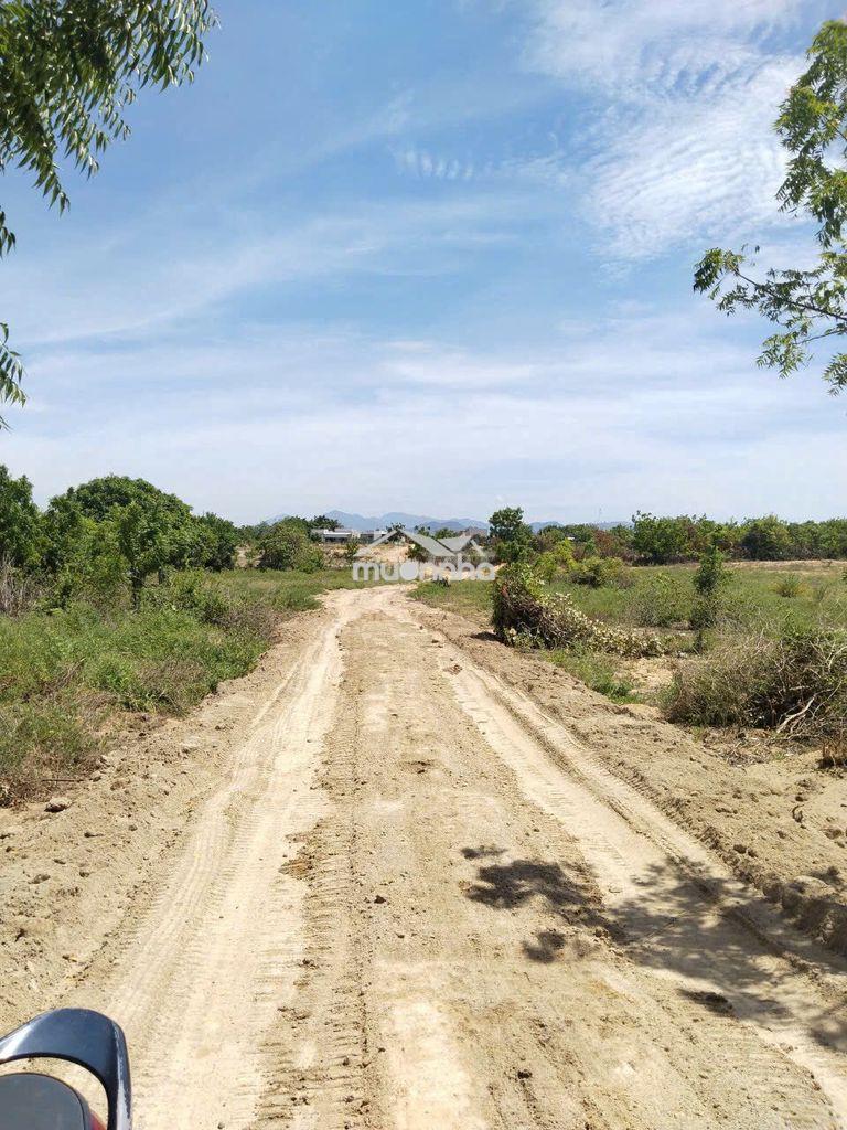 Bán đất tại kdl đồi cát nam cương, tp. phan rang, diện tích 2000 m2 - 4