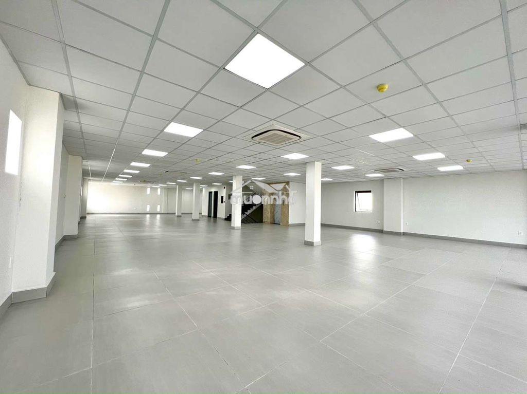 Toà nhà đường lê thúc hoạch 8x20m , 600m2 - 3