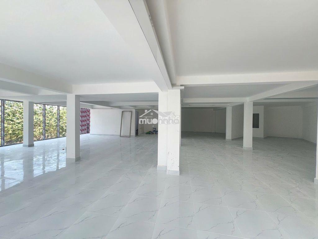 Cho thuê vp 205m2 hoàng sa view kính panorama cơ sở vật chất mới - 2
