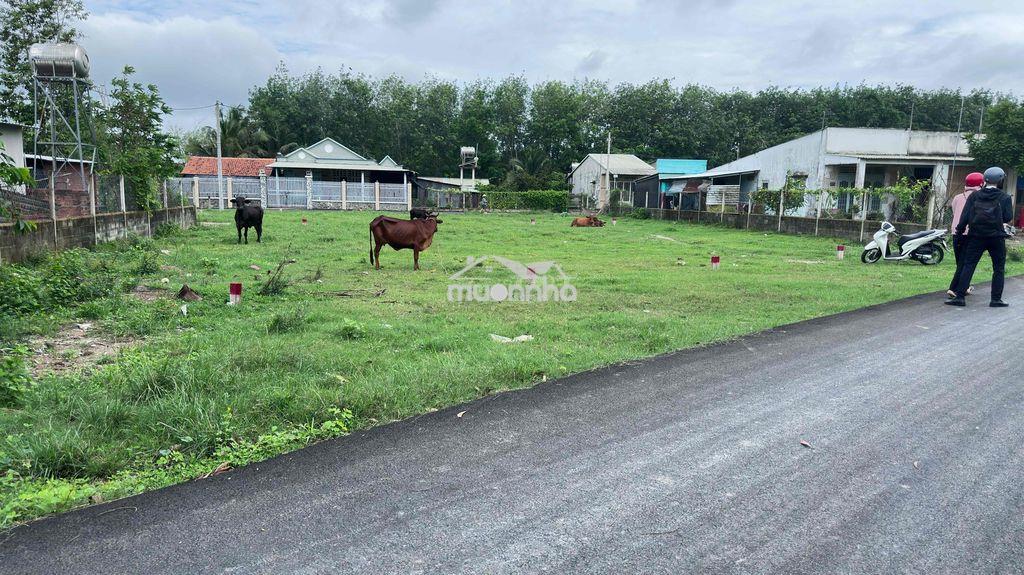 145m2 thái mỹ đất đẹp ngang 7m, mặt tiền đường trung lập, giá 1,2tỷ - 3