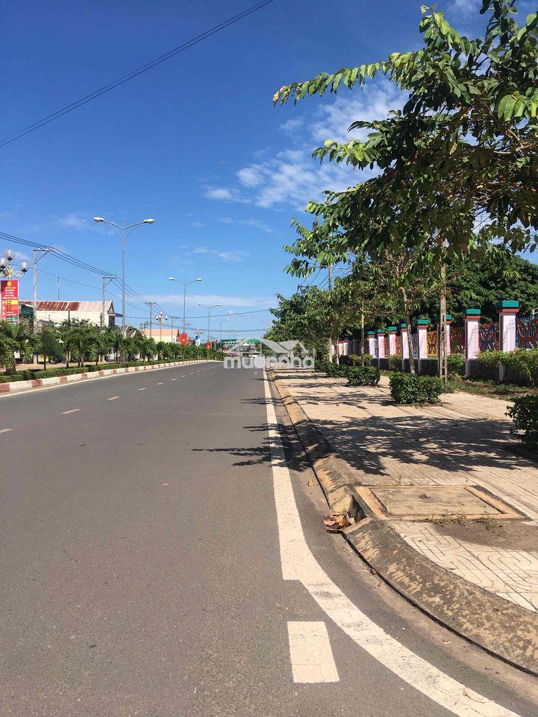 Bán đất xuân đông cẩm mỹ