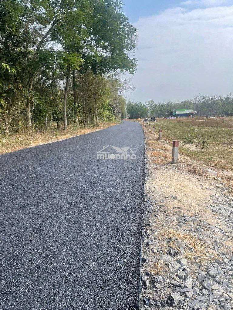 Cần bán lô đất giáp ranh tp hcm full thổ cư 116m2 giá 1,5 tỷ - 4