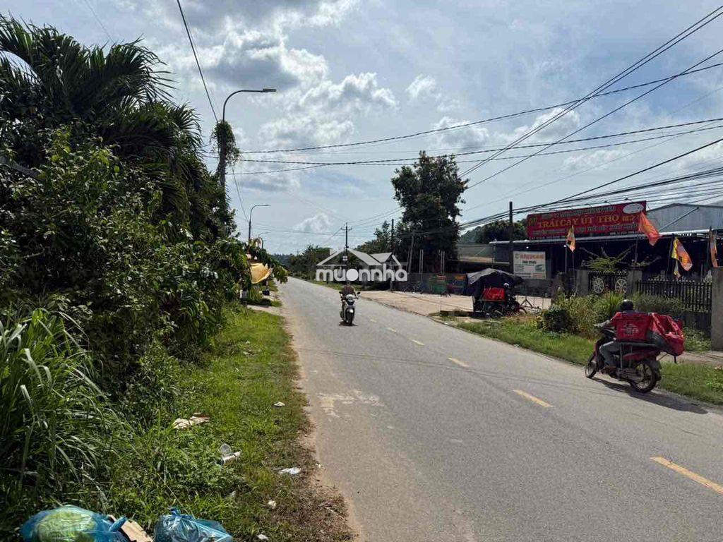 Đất 2 mặt tiền. phú an tân phú - 3