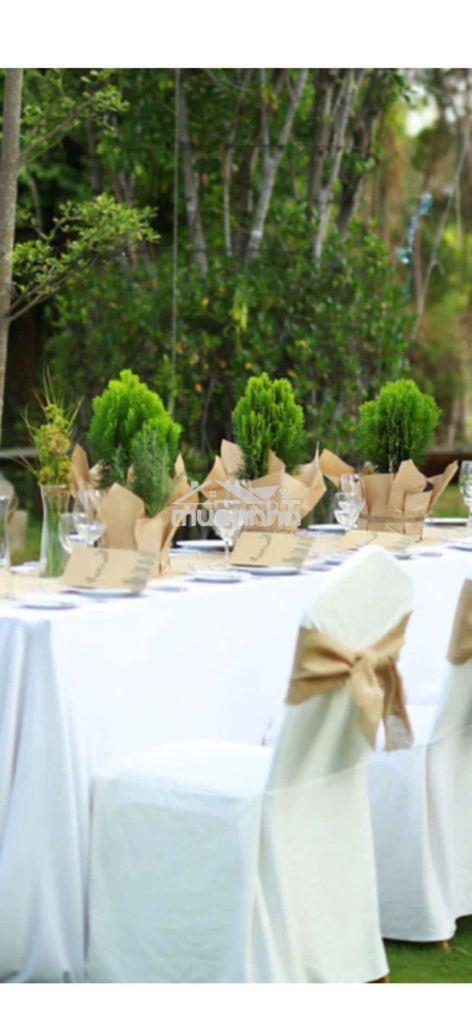 Nhà mặt tiền thụt cần bán 309 bis huỳnh văn bánh