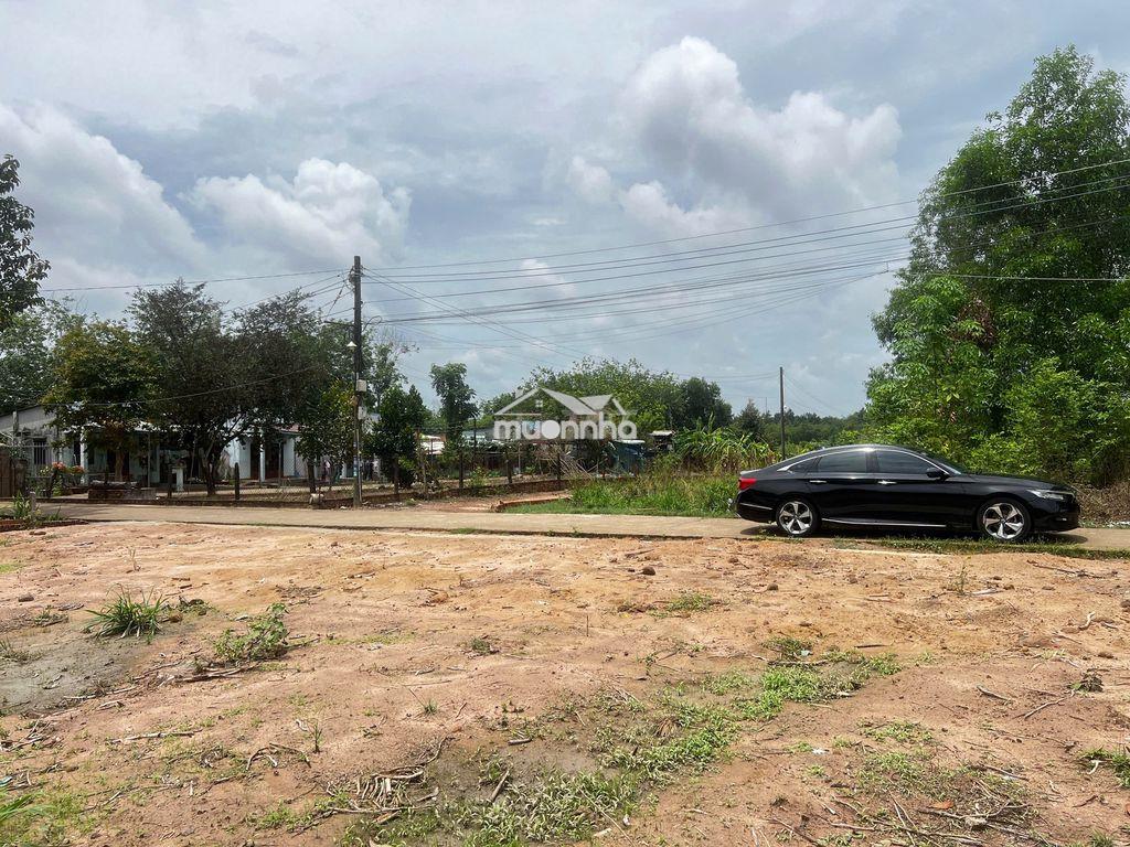 Đất nền full thổ sát kcn bàu xéo - 3