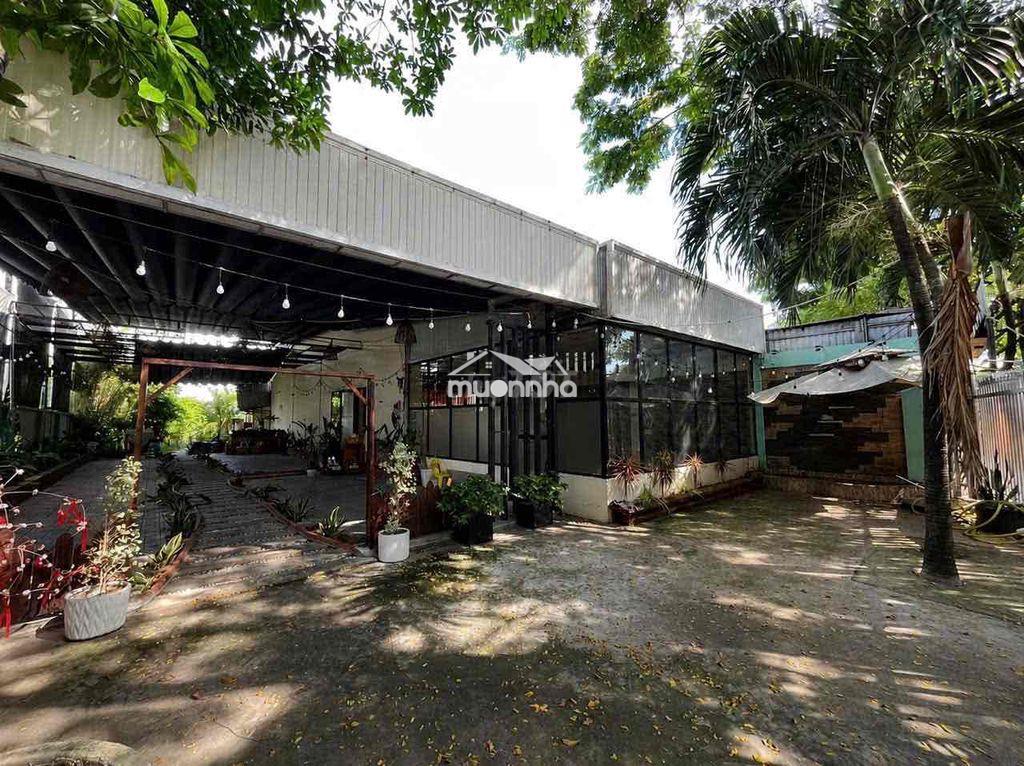 Cho thuê mặt bằng phú thọ, thủ dầu một - diện tích : 14x45 (660m2) c - 2
