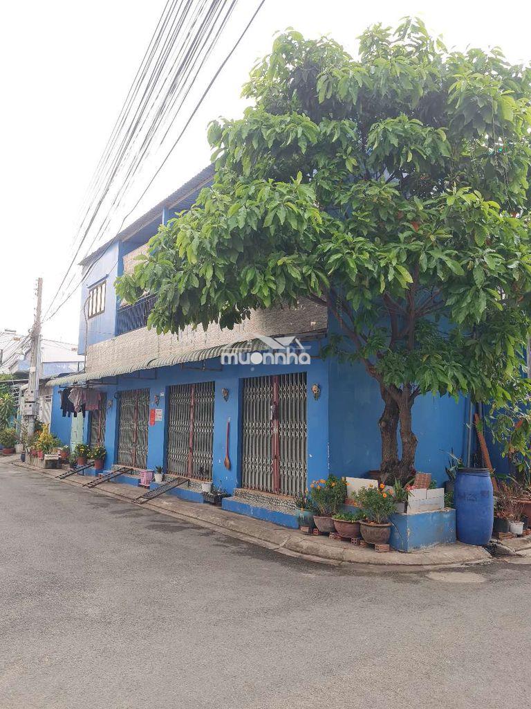 Cho thuê nhà mini 1 trệt 1 lầu