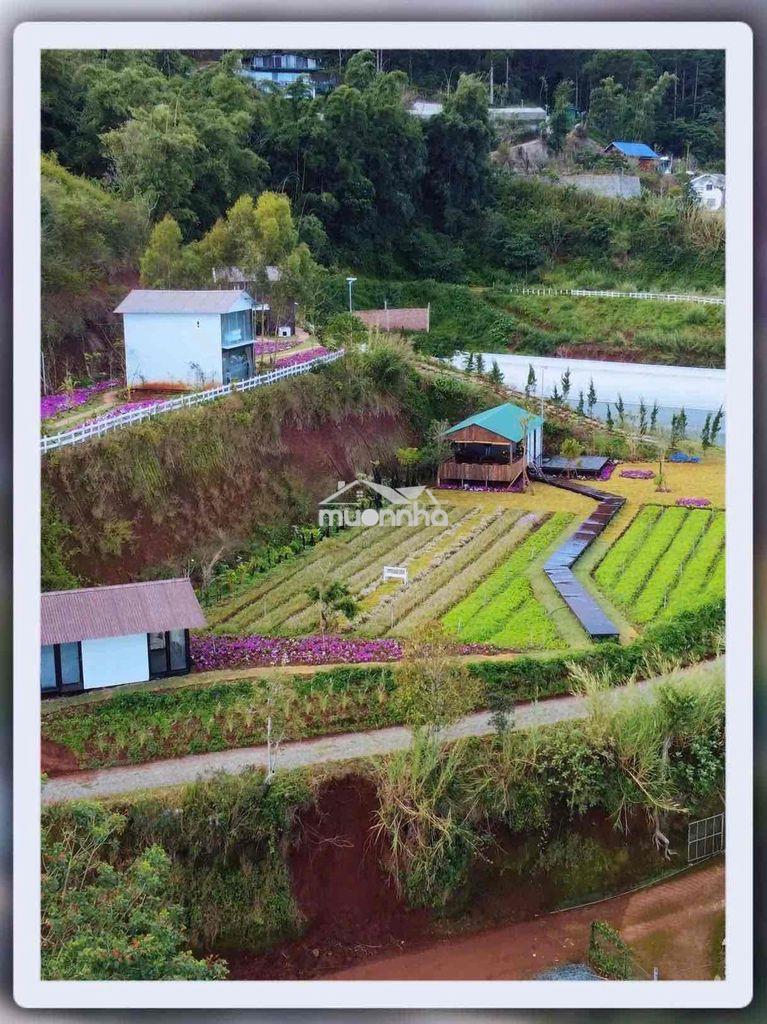 Cho thuê tổ hợp cafe & homestay tại vạn thành, đà lạt