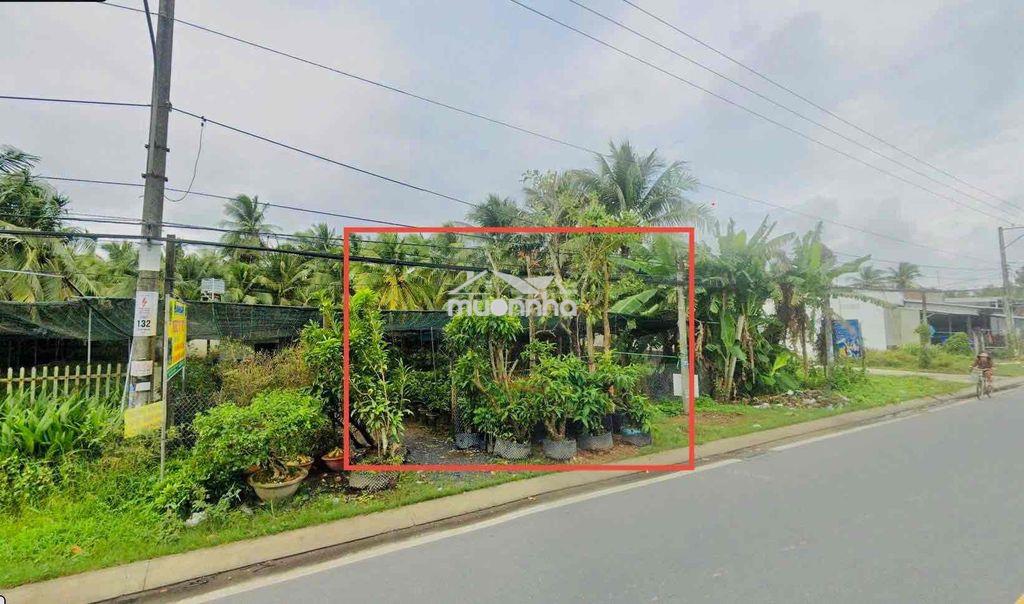 Đất nền mỏ cày bắc (chính chủ) - 3